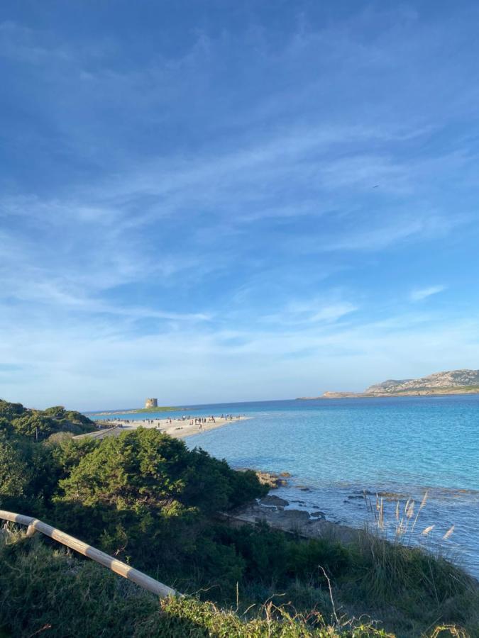 Coral Dream Apartment Alghero Bagian luar foto
